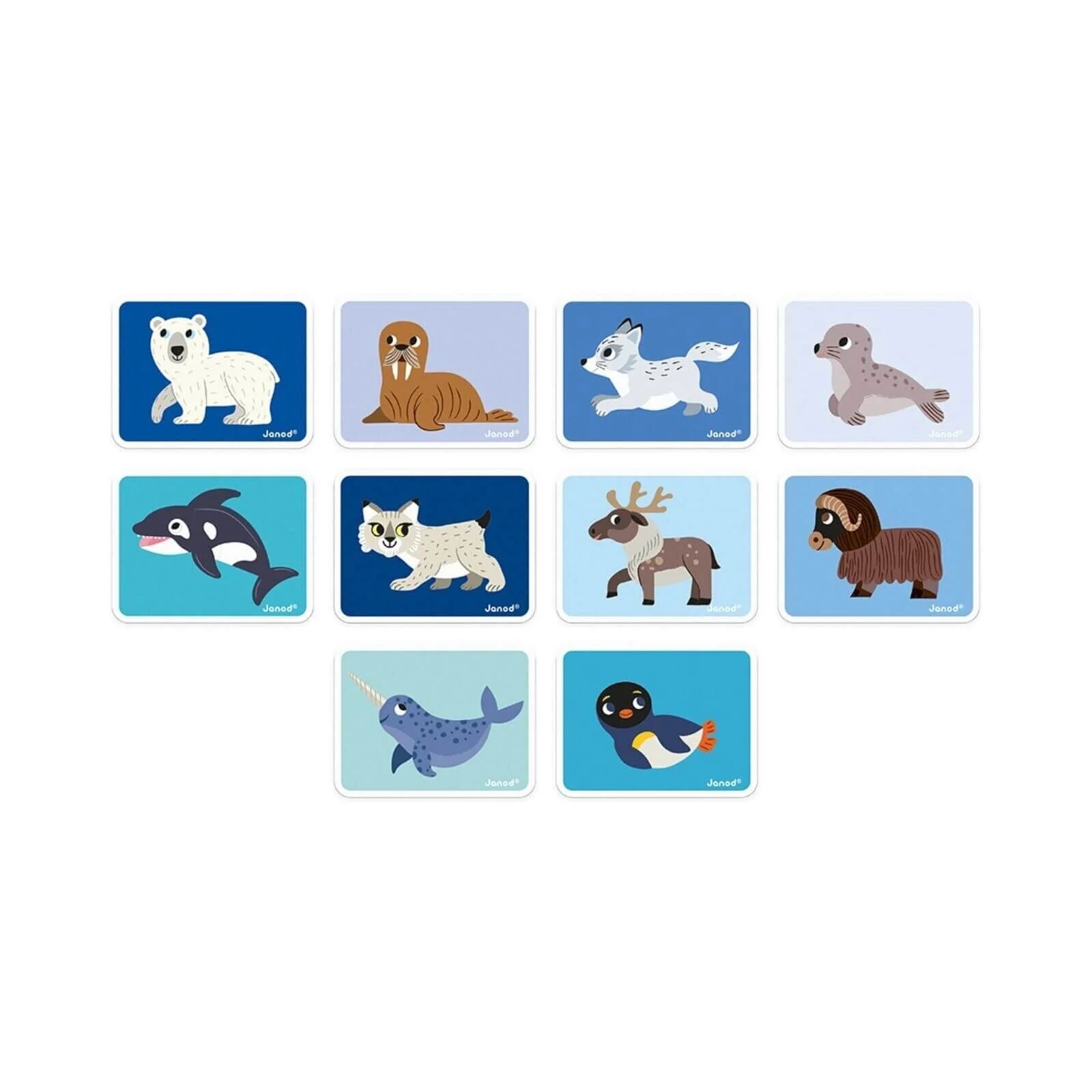 Janod Magnetibook Polar Animals - ebebek - Black Friday