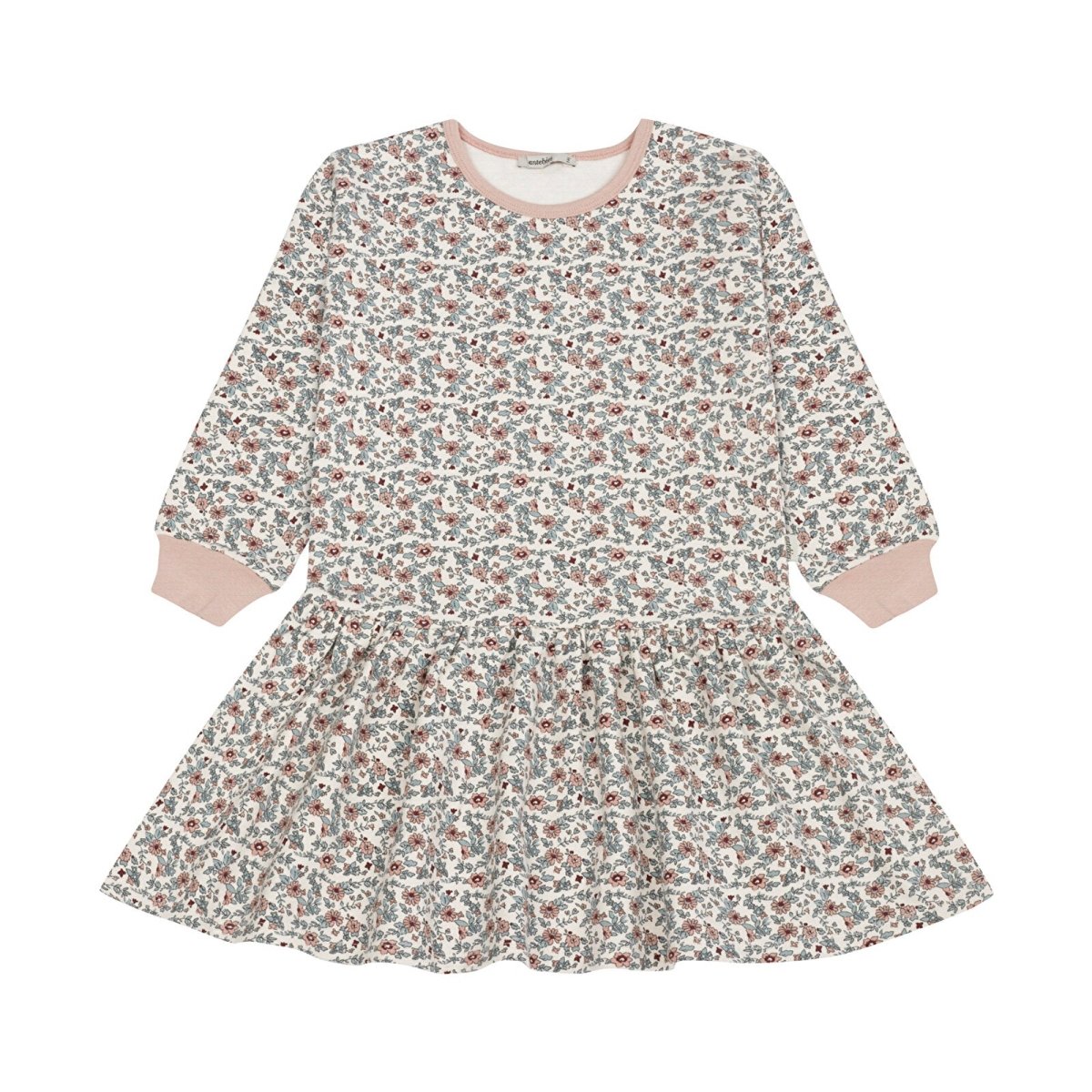 Antebies Winter Flowers Futter Dress - ebebek - Black Friday