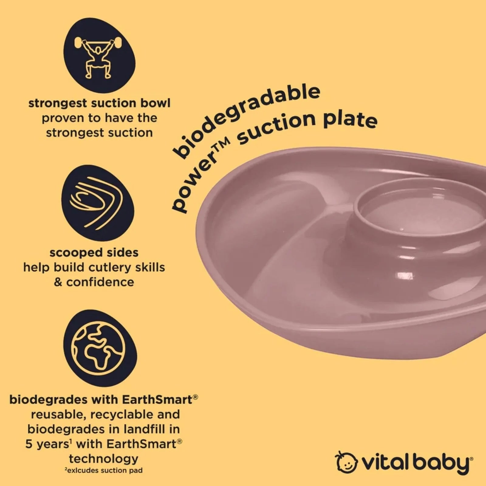 Vital Baby Nourish Power Suction Plate - Natural Berry - ebebek - Black Friday