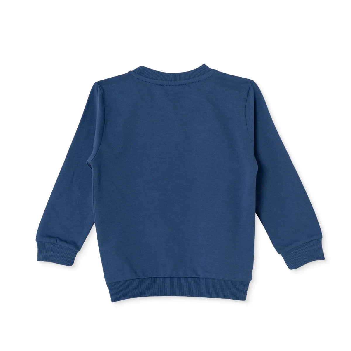 HelloBaby Dinosaur Print Brushed Loopback Baby Sweatshirt (3-6 Months to 4-5 Years) Indigo - ebebek