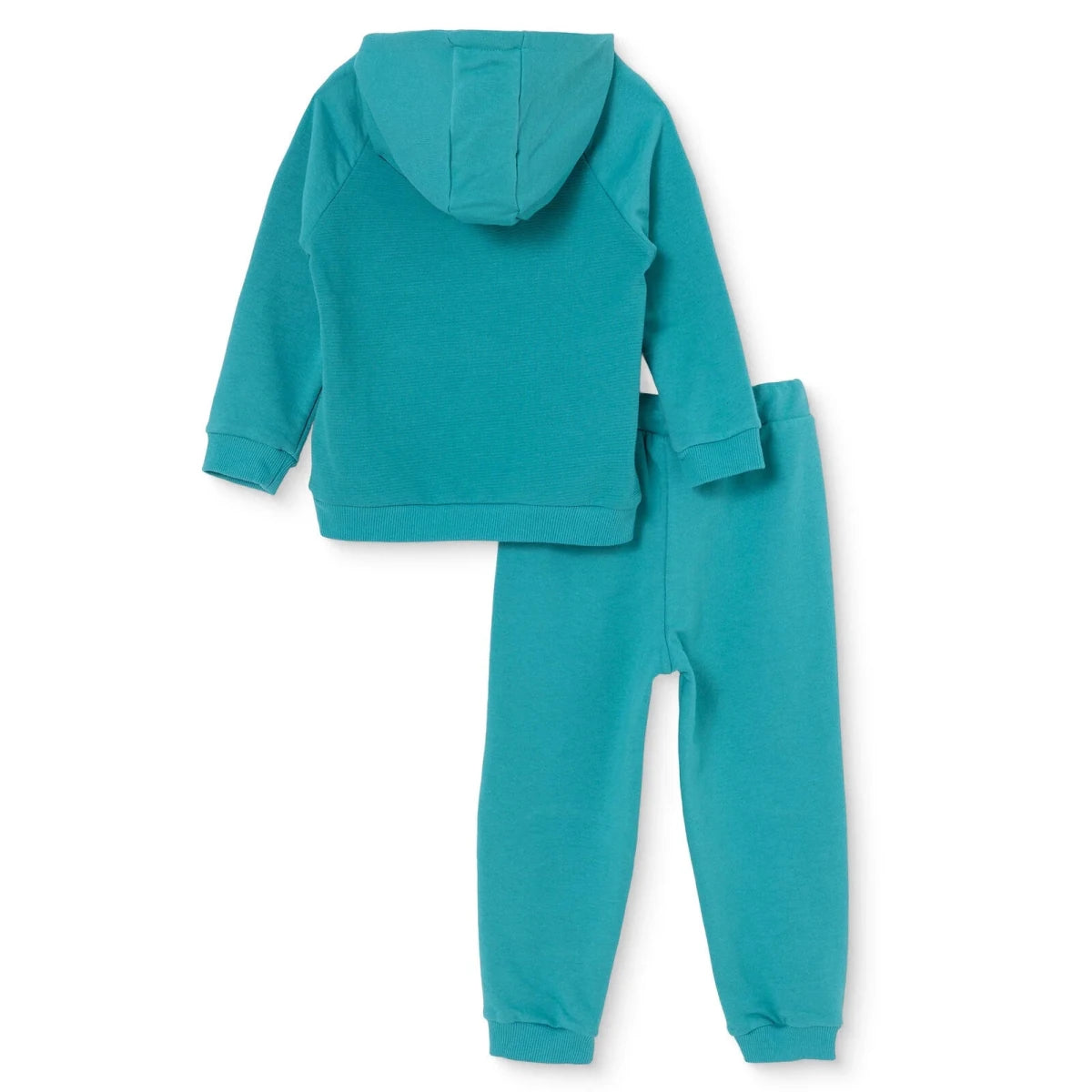 HelloBaby Dinosaur Print Hooded Baby Sweatshirt & Joggers Set (6-9 Months to 4-5 Yrs) Green - ebebek