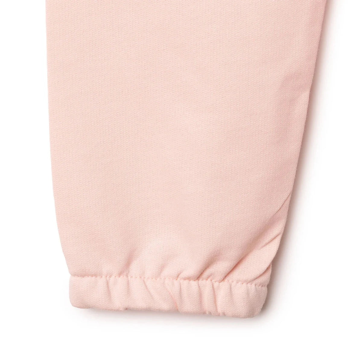 HelloBaby Floral Print Loopback Baby Joggers (3-6 Months to 4-5 Years) Pink - ebebek