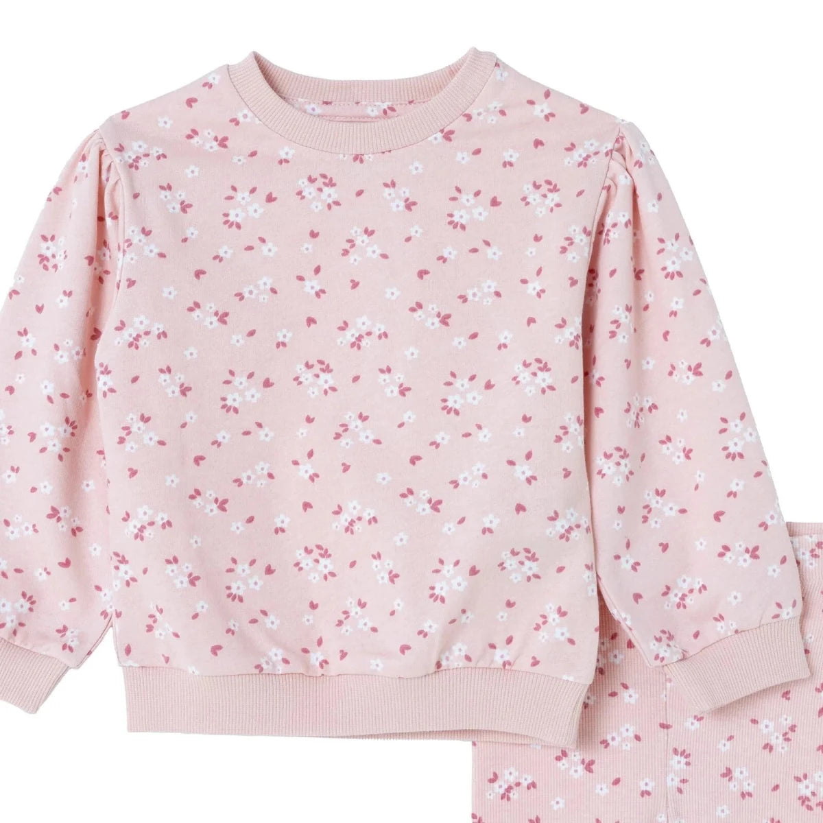 HelloBaby Floral Print Baby Sweatshirt & Leggings Set (3-6 Months to 4-5 Years) Ecru Printed - ebebek