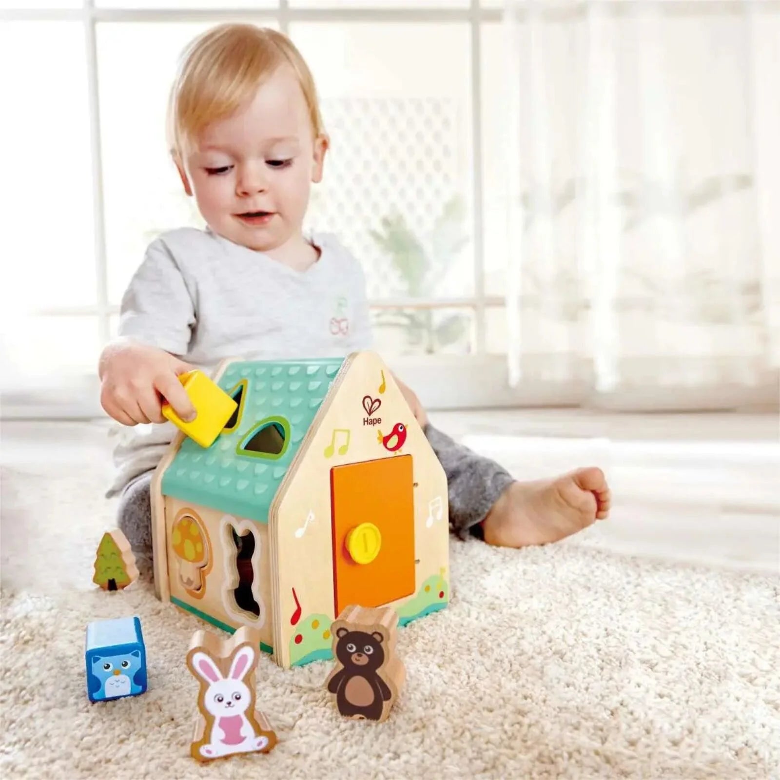 Hape Critter House Shape Sorter - ebebek - Black Friday