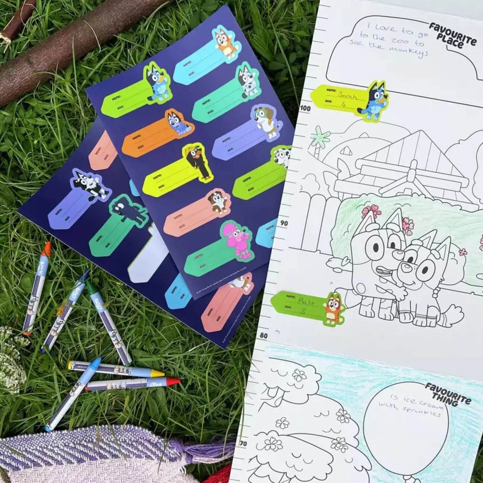 Bluey Height Chart - ebebek - Black Friday