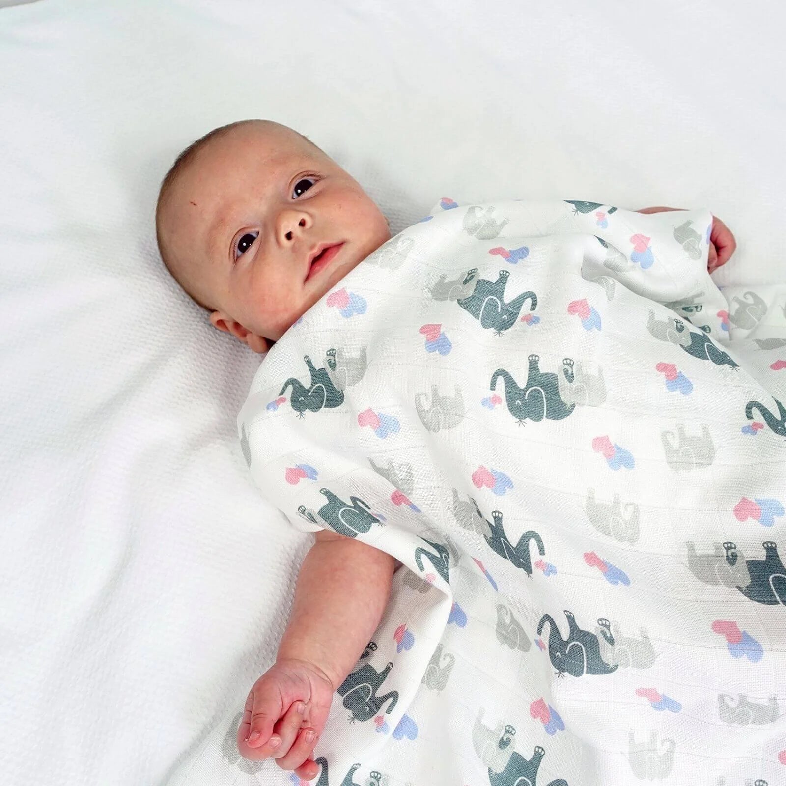 MuslinZ Bamboo/Organic Cotton Muslin Swaddle 120x120cm - Elephant - ebebek - Black Friday