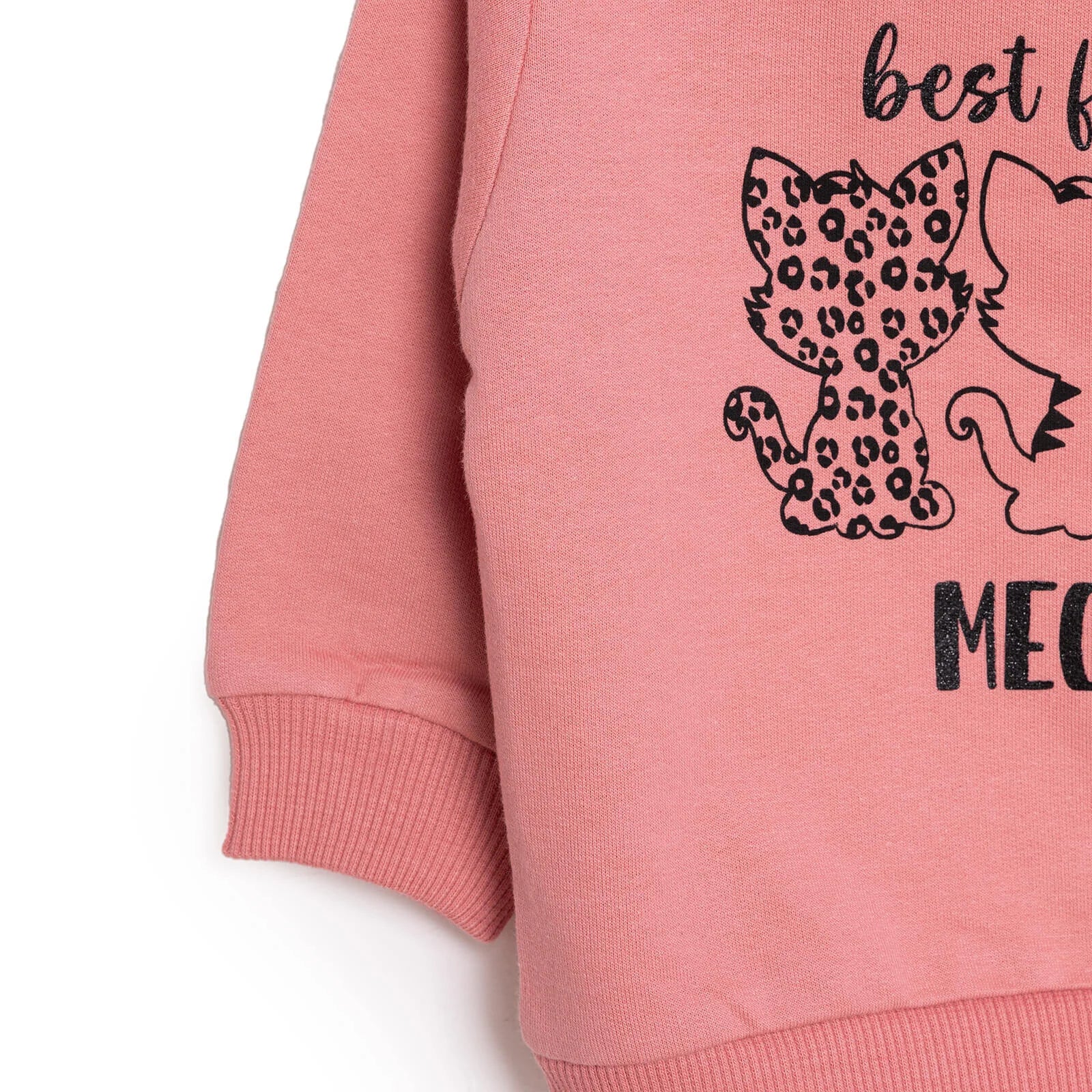 HelloBaby Baby Girl Cat Printed Sweatshirt - Light Rose - ebebek - Black Friday