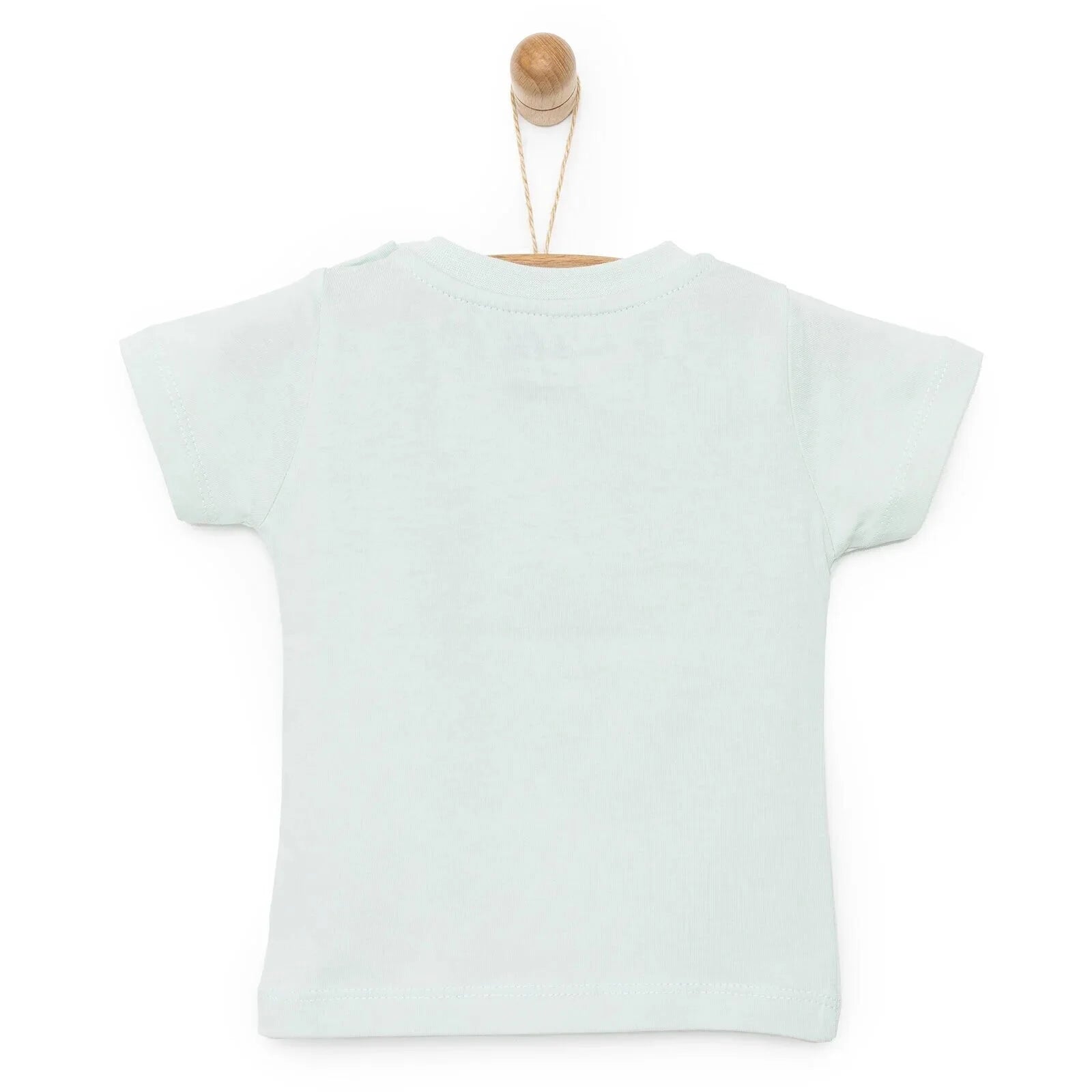 HelloBaby Basic Lion Printed Tshirt - Light Green - ebebek - Black Friday