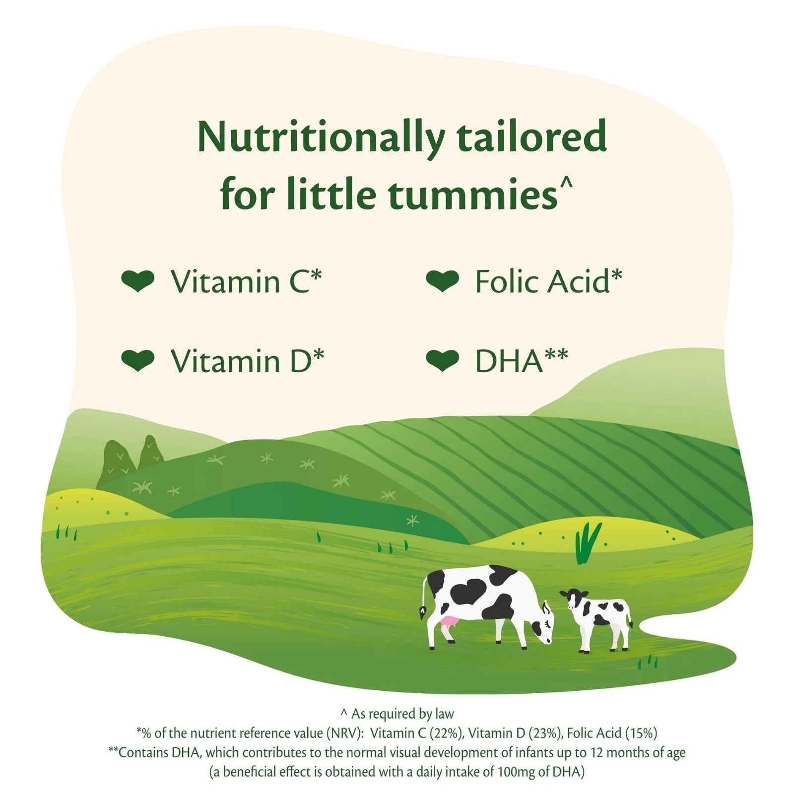 HiPP Organic 2 Follow on Baby Milk Formula from 6+ months 800g - ebebek - Christmas