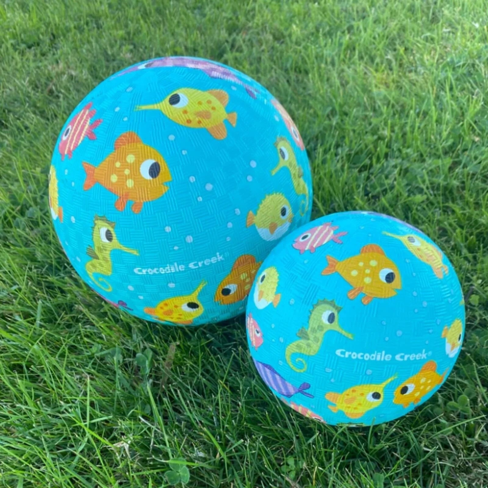 Wheely Bug Crocodile Creek 5" Playball - Fish - ebebek - Black Friday