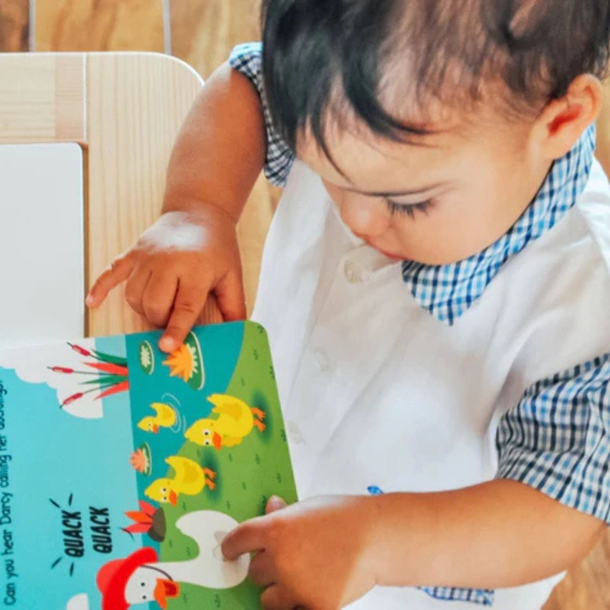 Ditty Bird Farm Animal Sounds Book - ebebek - Black Friday