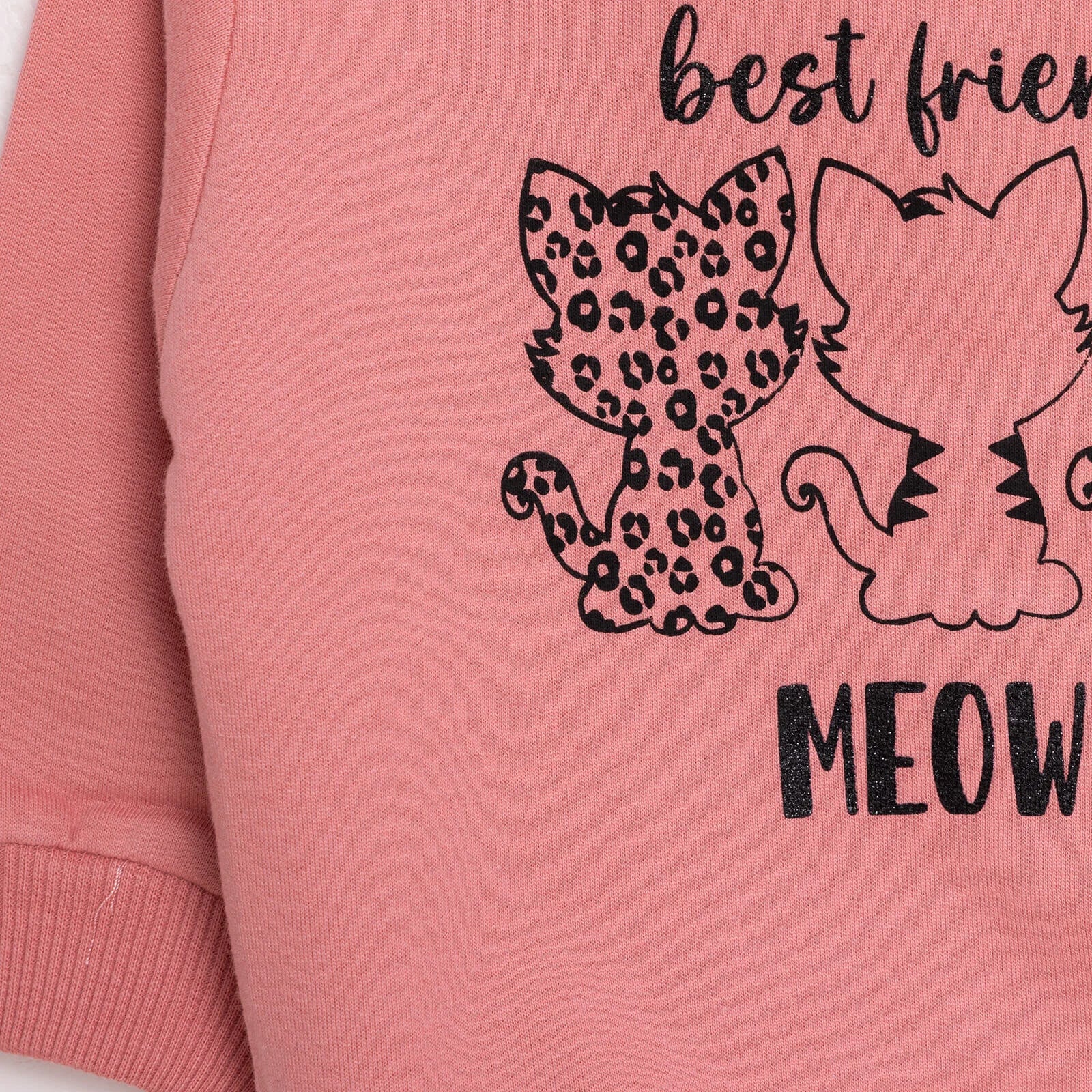 HelloBaby Baby Girl Cat Printed Sweatshirt - Light Rose - ebebek - Black Friday