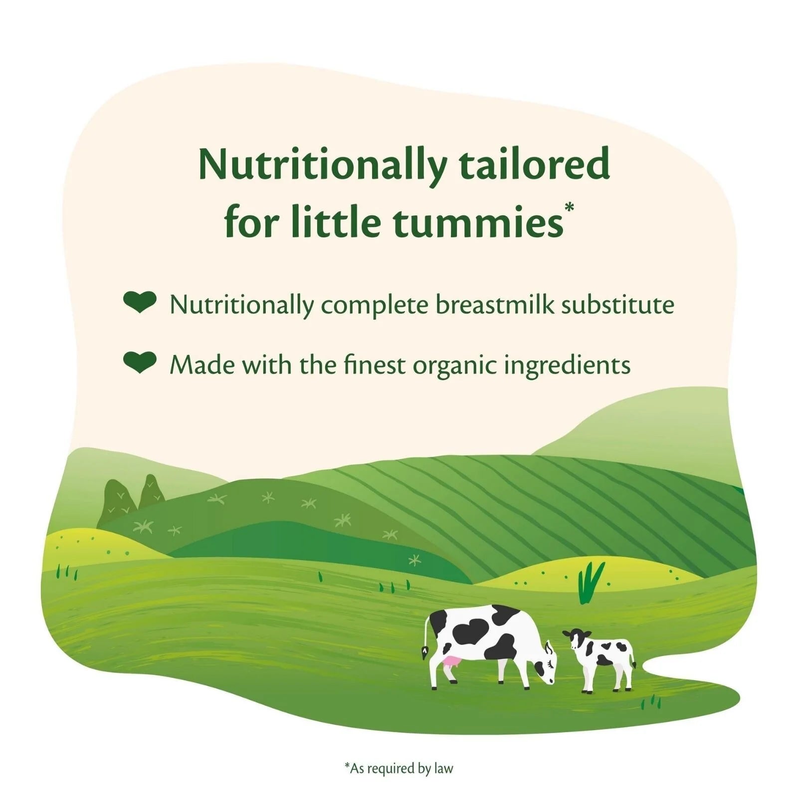 HiPP Organic 1 First Infant Baby Milk Formula from Birth 800g - ebebek - Black Friday