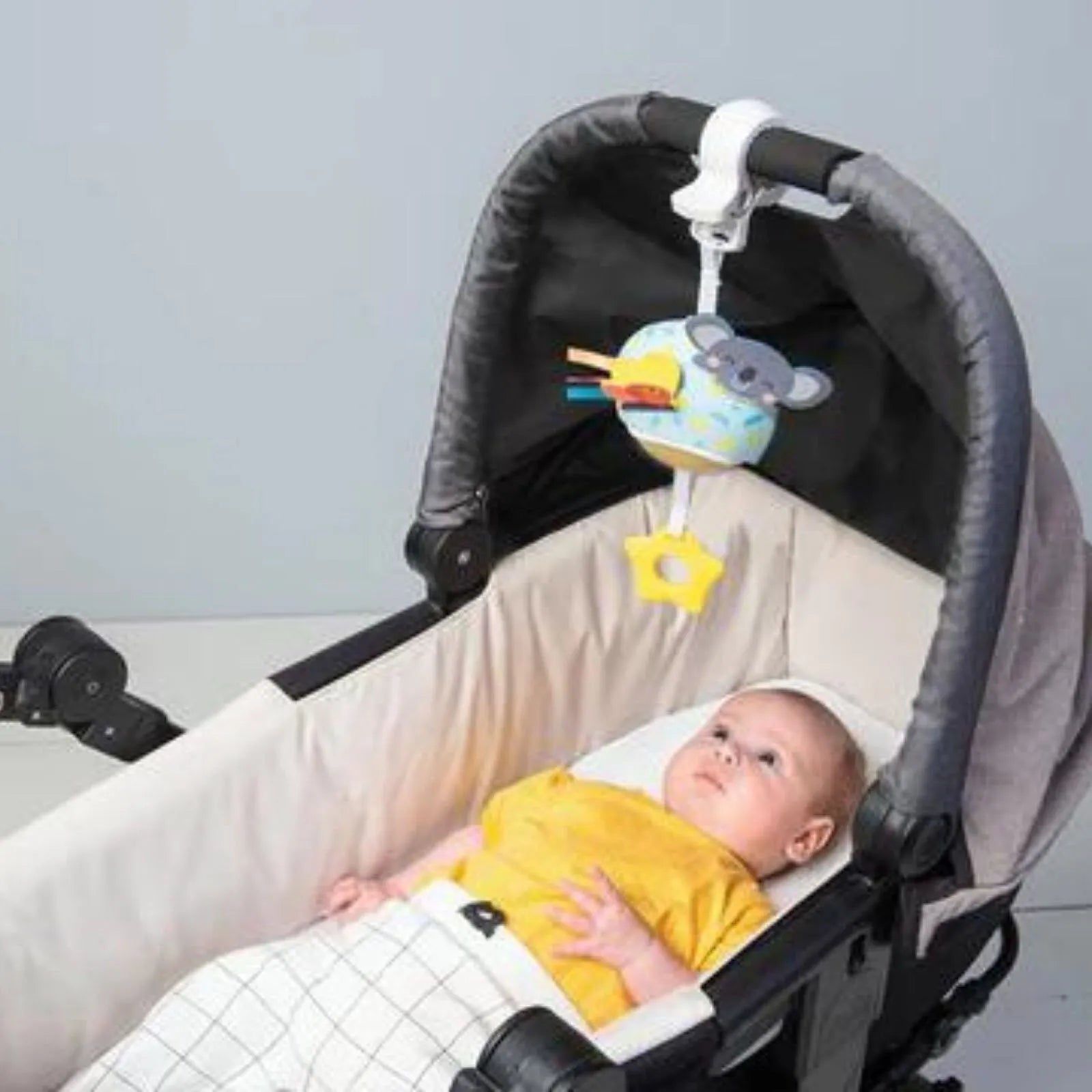 Taf Toys Musical Koala - ebebek - Black Friday