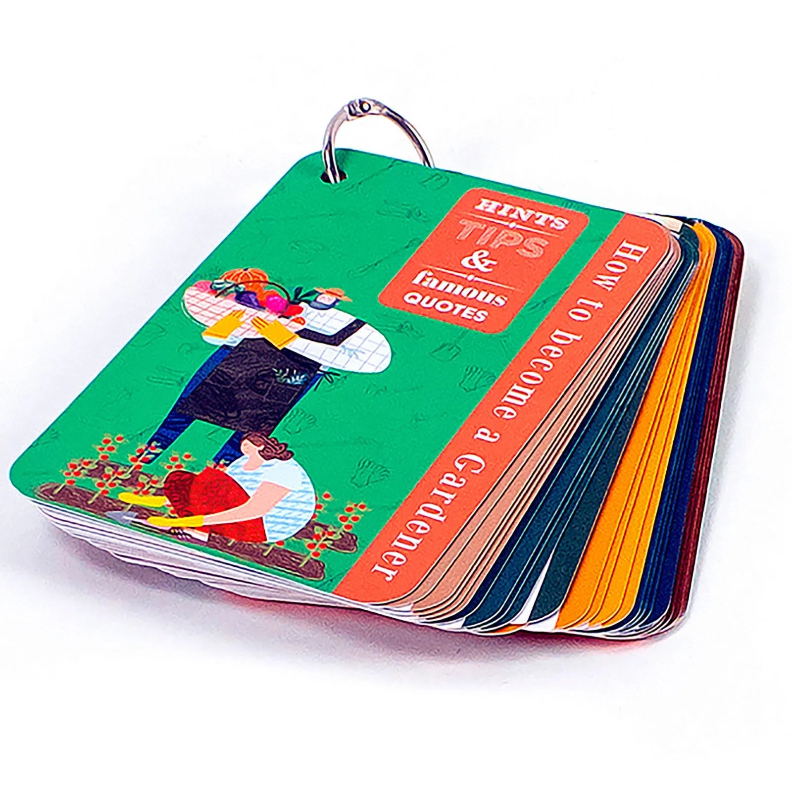 Recent Toys How to become a Gardener - ebebek - Black Friday