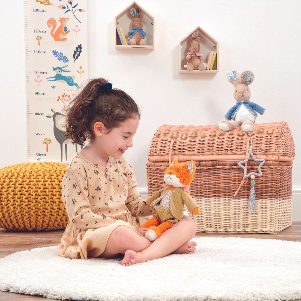 Peter Rabbit Signature Friends Mr Todd - ebebek - Black Friday