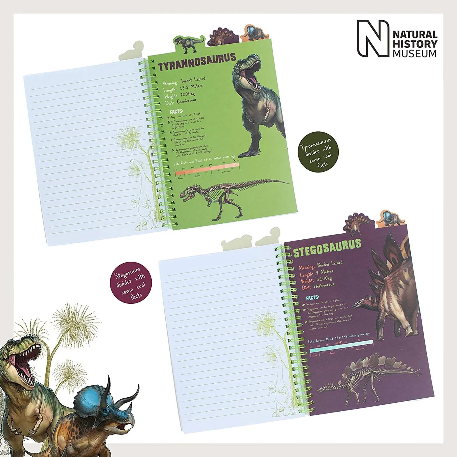 National History Museum A5 Project Book - ebebek - Black Friday