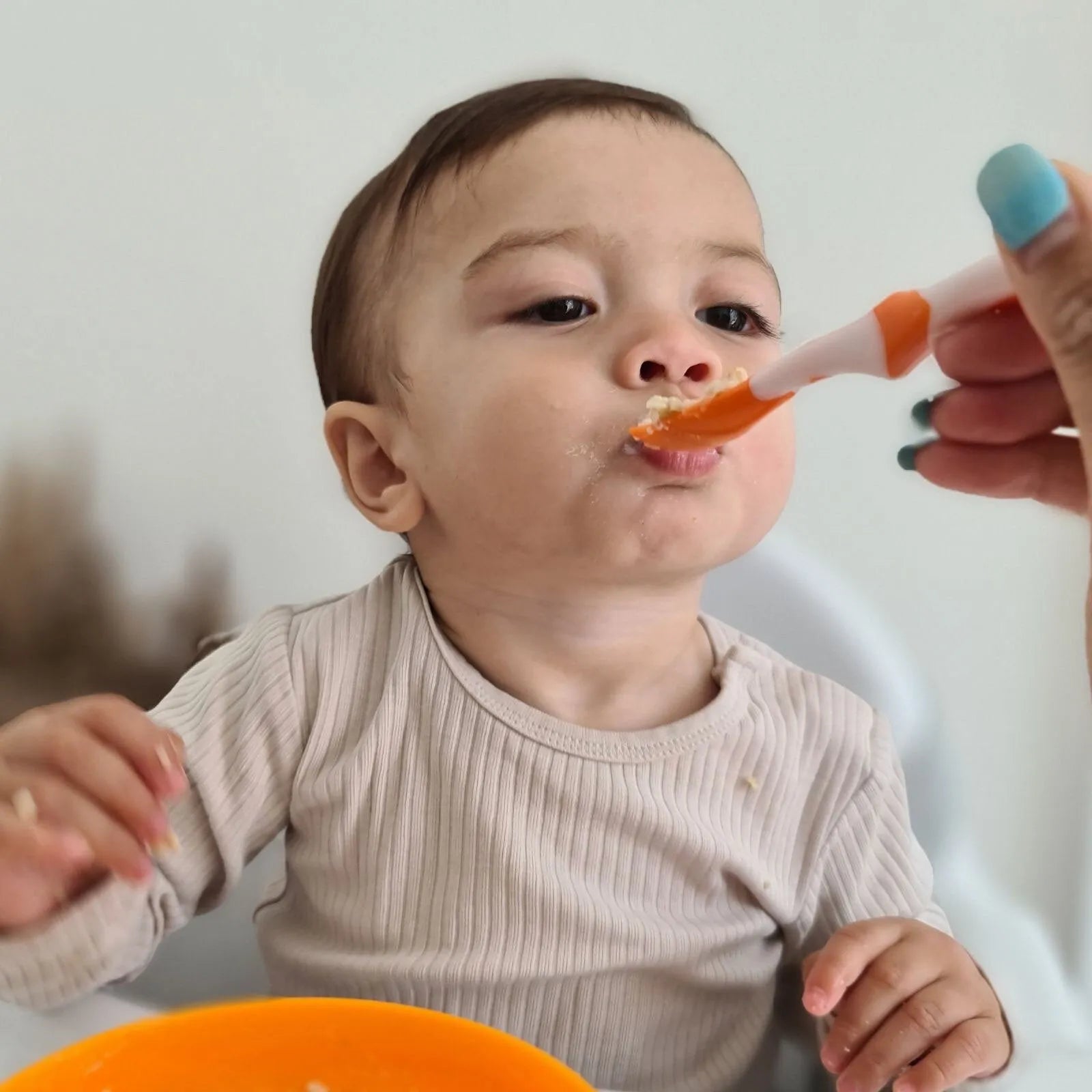 Nuby Weaning Spoons Pack of 6 - ebebek - Black Friday