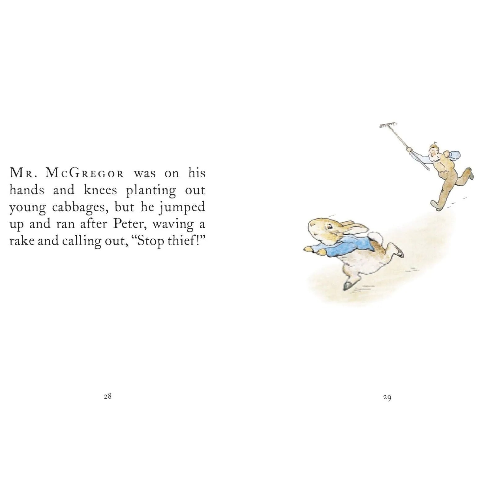 Peter Rabbit The Tale of Peter Rabbit - ebebek - Black Friday