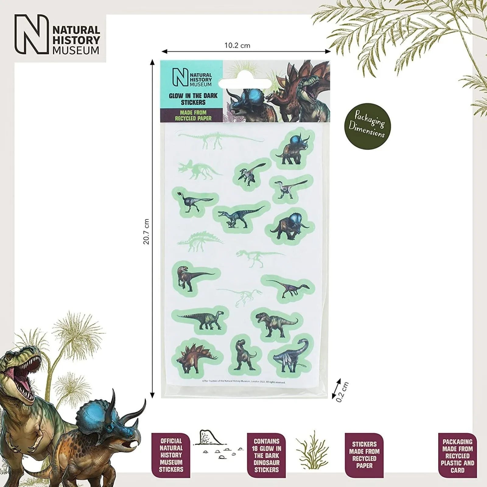 National History Museum Glow in the Dark Stickers - ebebek - Black Friday