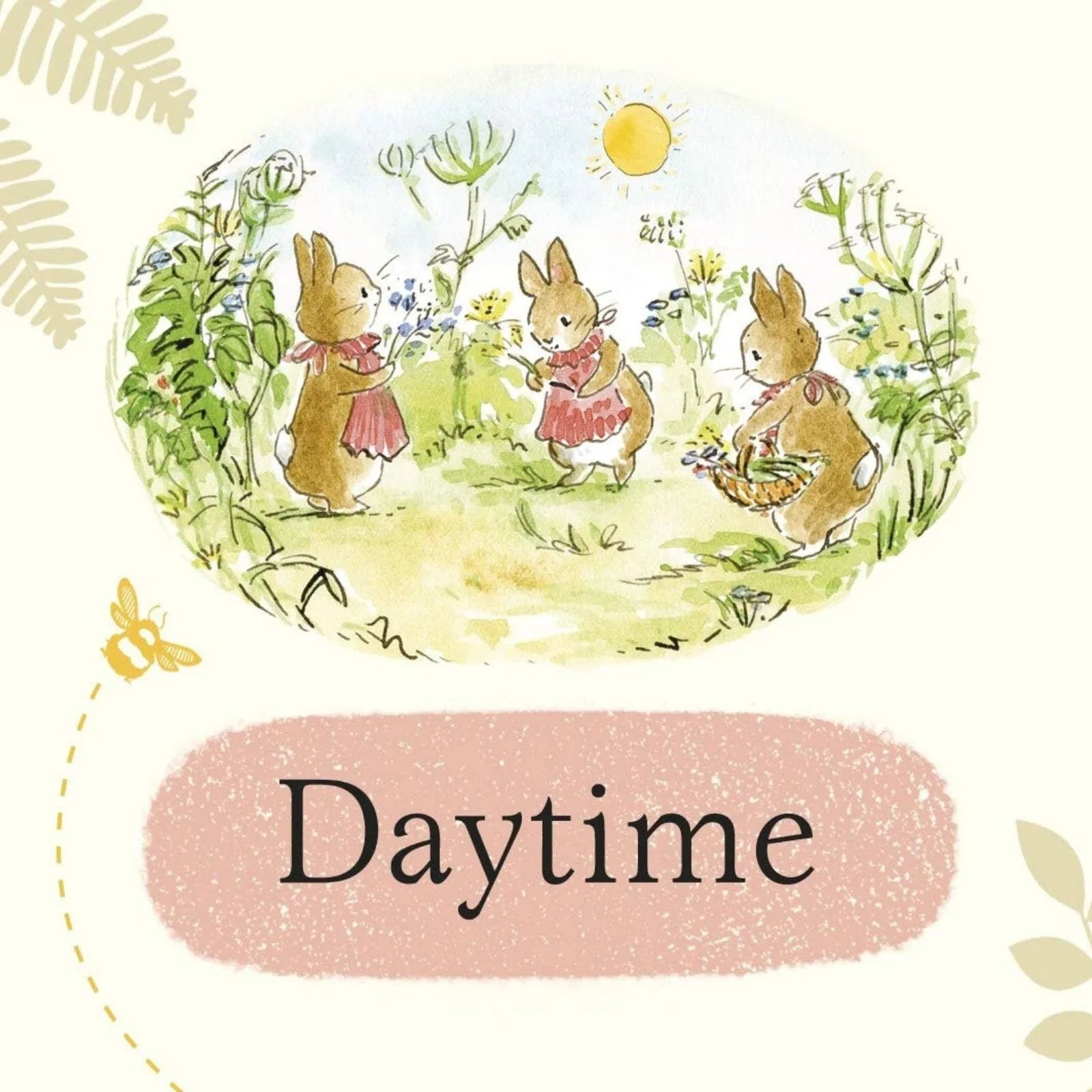 Peter Rabbit Tales Little Library - ebebek - Black Friday