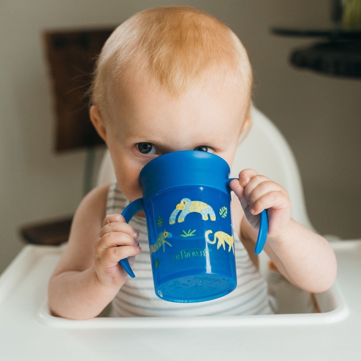 Dr. Brown's 360 Spoutless Transition Cup 300ml - Blue - ebebek - Black Friday