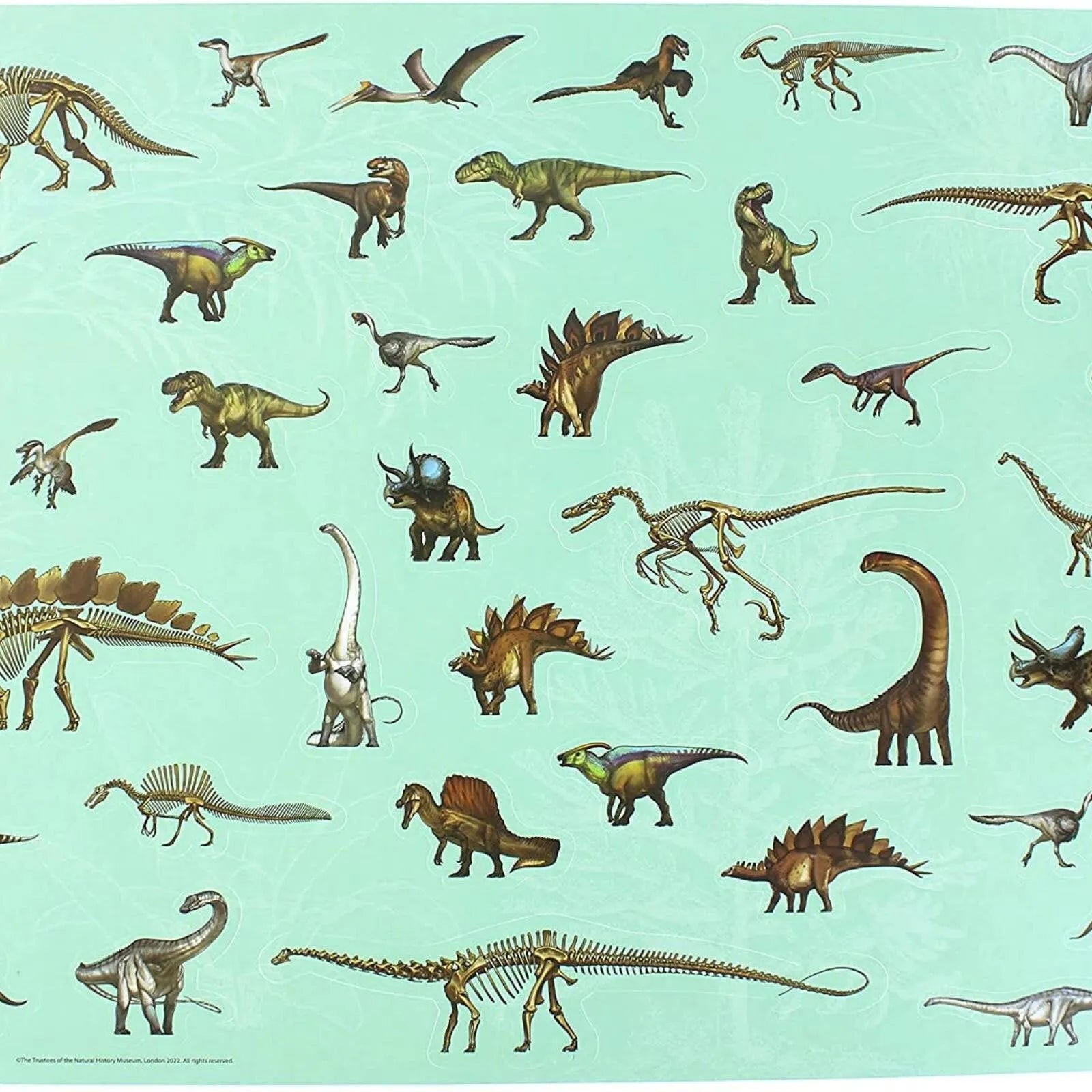 National History Museum Colouring Pad - ebebek - Black Friday