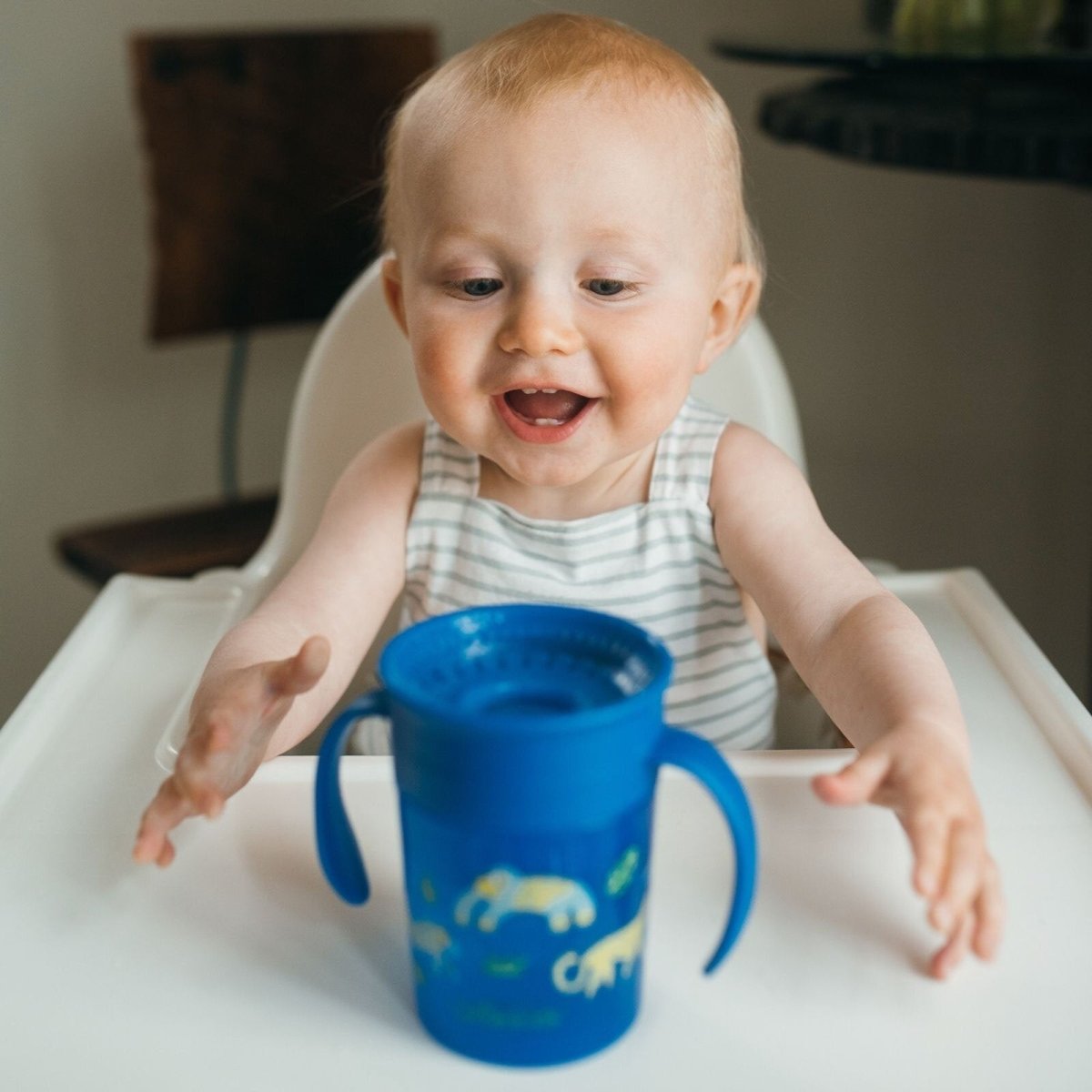 Dr. Brown's 360 Spoutless Transition Cup 300ml - Blue - ebebek - Black Friday