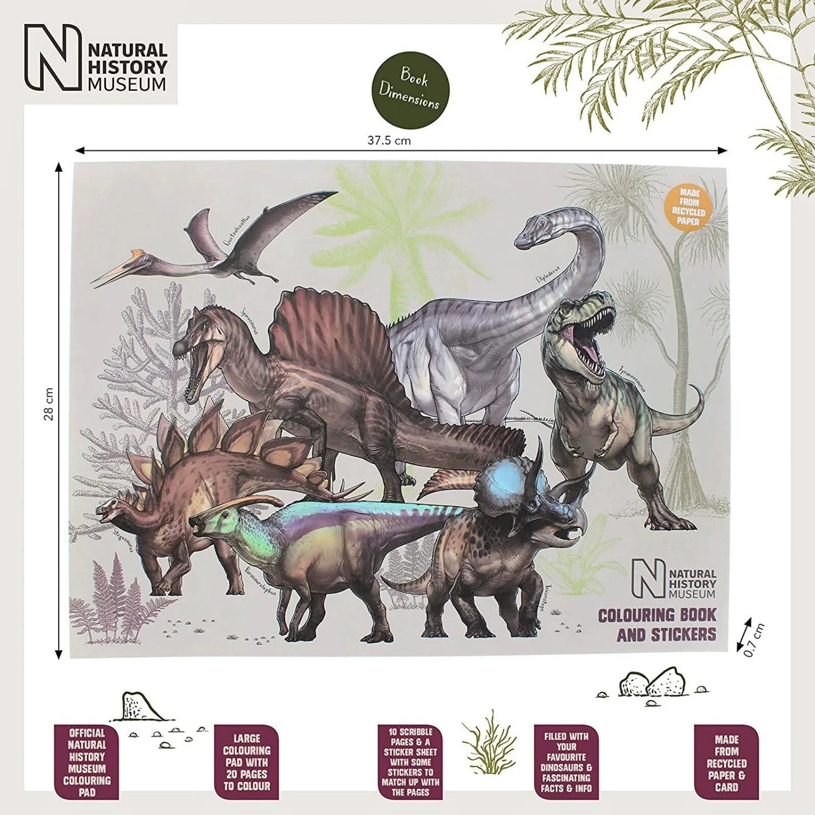 National History Museum Colouring Pad - ebebek - Black Friday