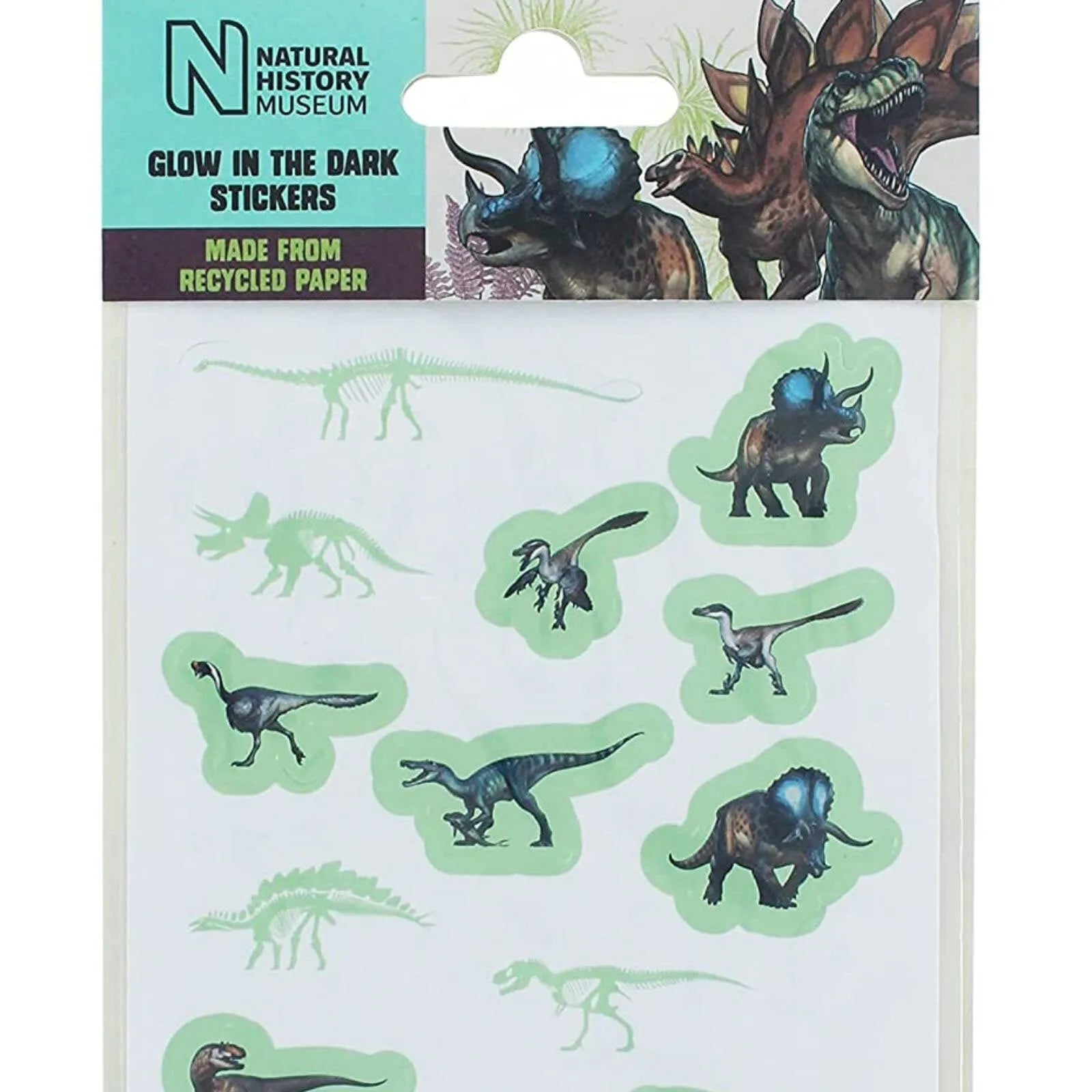 National History Museum Glow in the Dark Stickers - ebebek - Black Friday