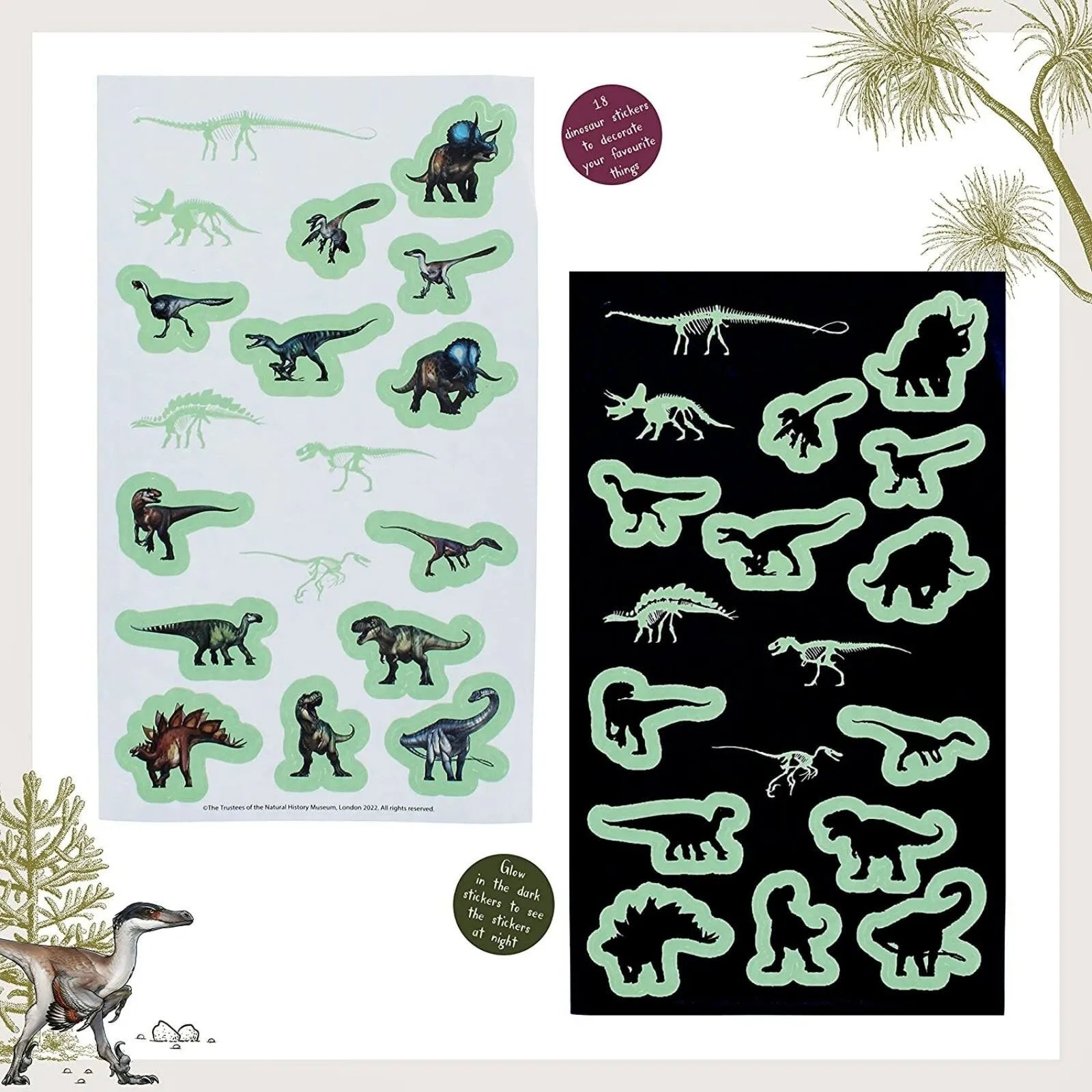 National History Museum Glow in the Dark Stickers - ebebek - Black Friday