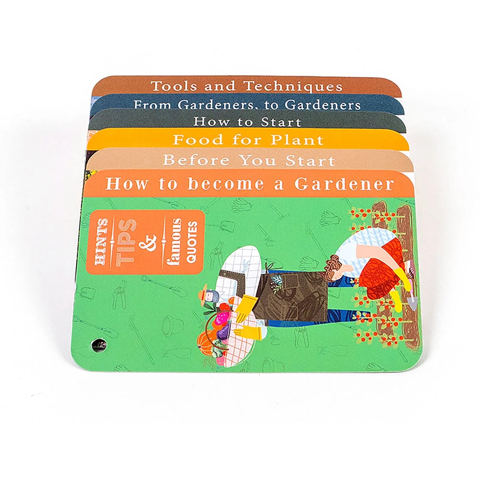 Recent Toys How to become a Gardener - ebebek - Black Friday