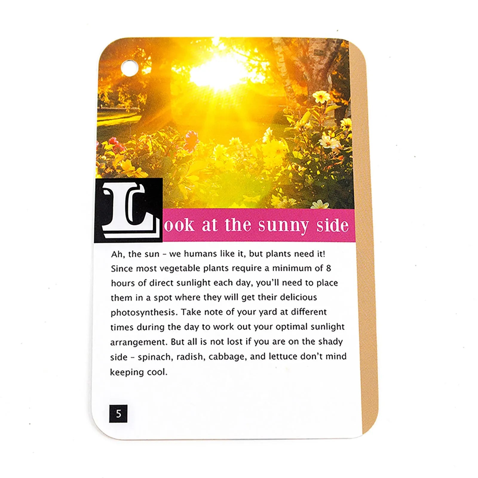 Recent Toys How to become a Gardener - ebebek - Black Friday