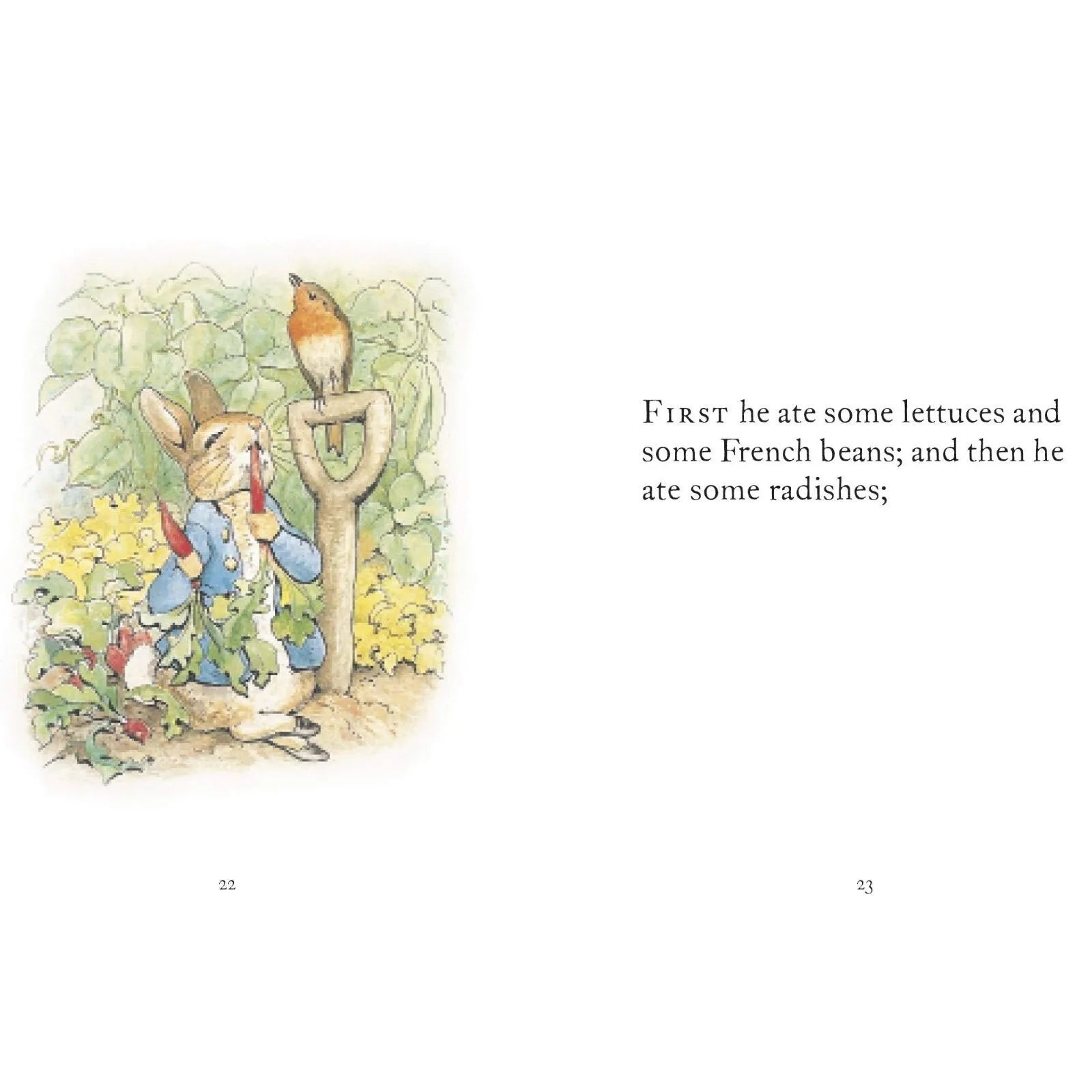 Peter Rabbit The Tale of Peter Rabbit - ebebek - Black Friday