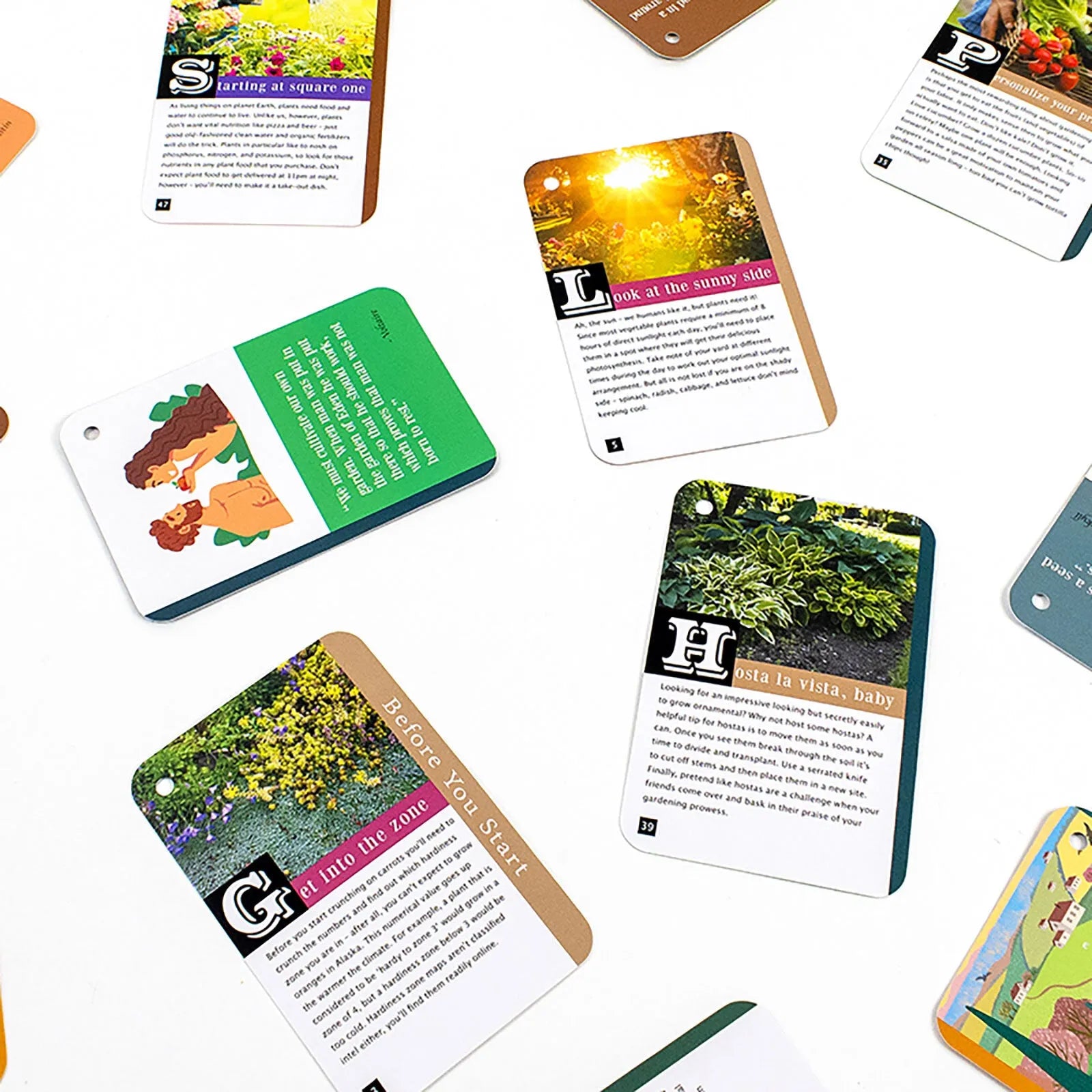 Recent Toys How to become a Gardener - ebebek - Black Friday