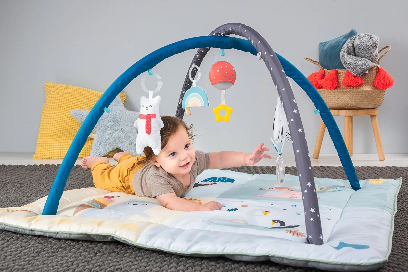 Taf Toys North Pole 4 Seasons Gym - ebebek - Black Friday