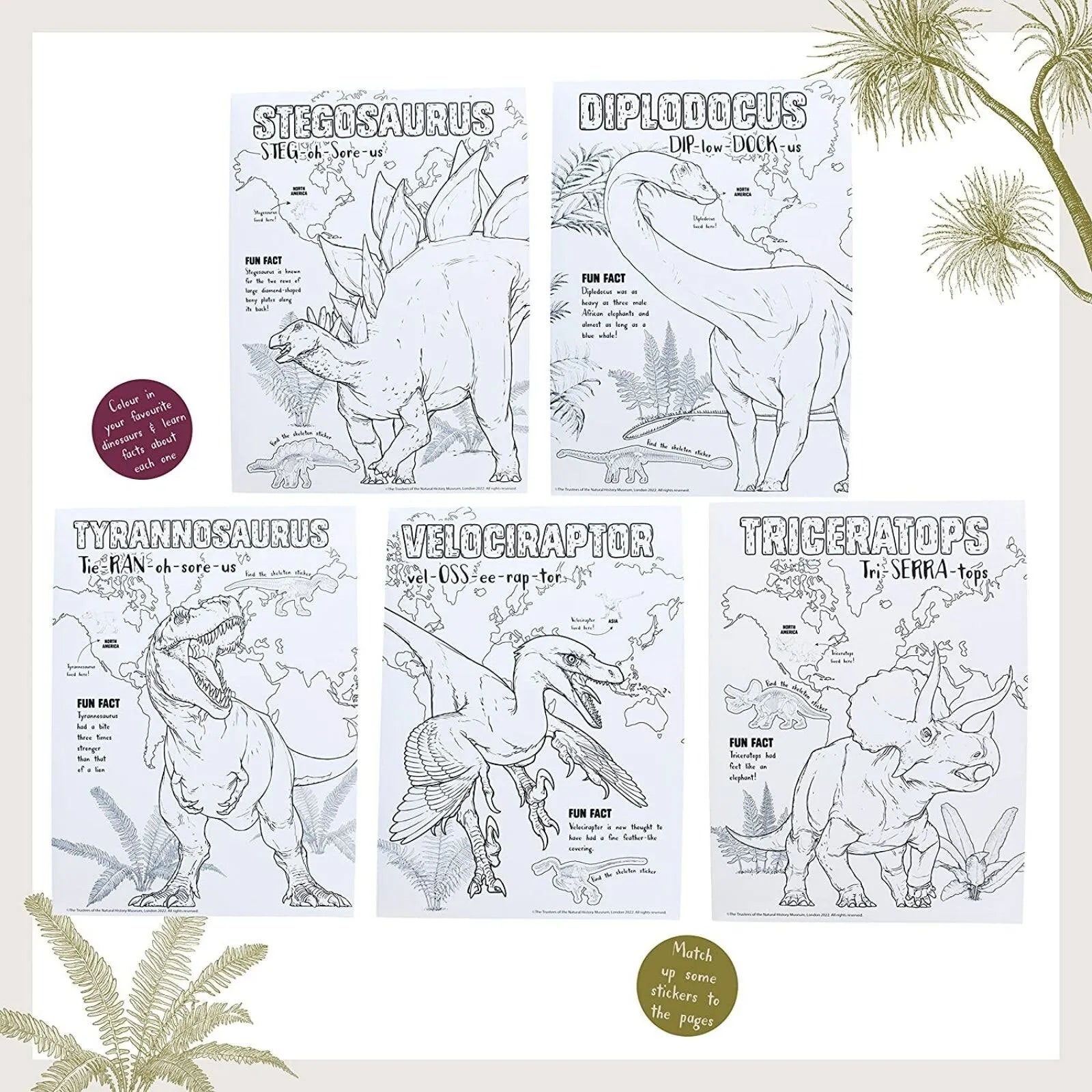 National History Museum Colouring Pad - ebebek - Black Friday