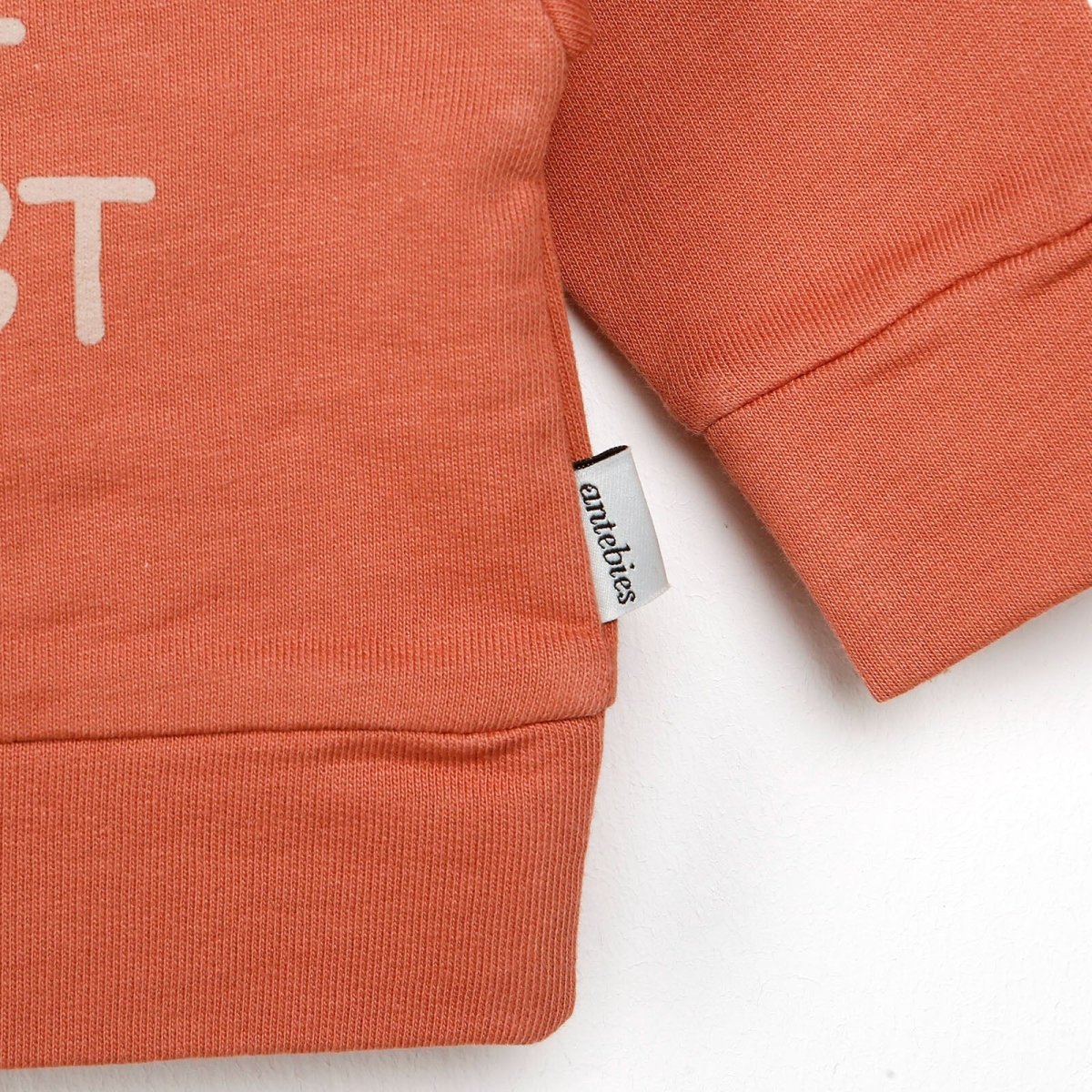 Antebies Newborn Cheetah Organic Sweatshirt - Mink - ebebek - Black Friday