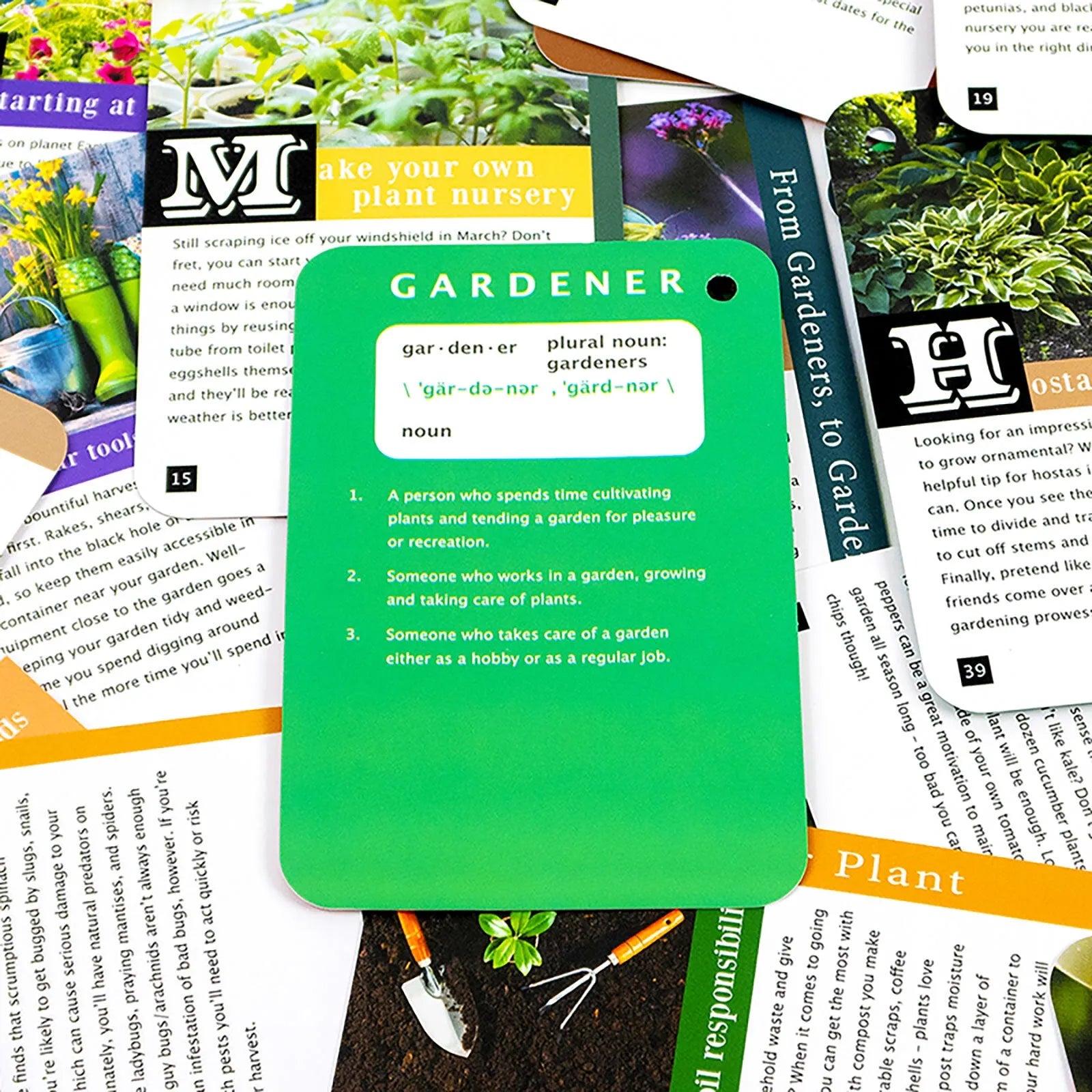 Recent Toys How to become a Gardener - ebebek - Black Friday