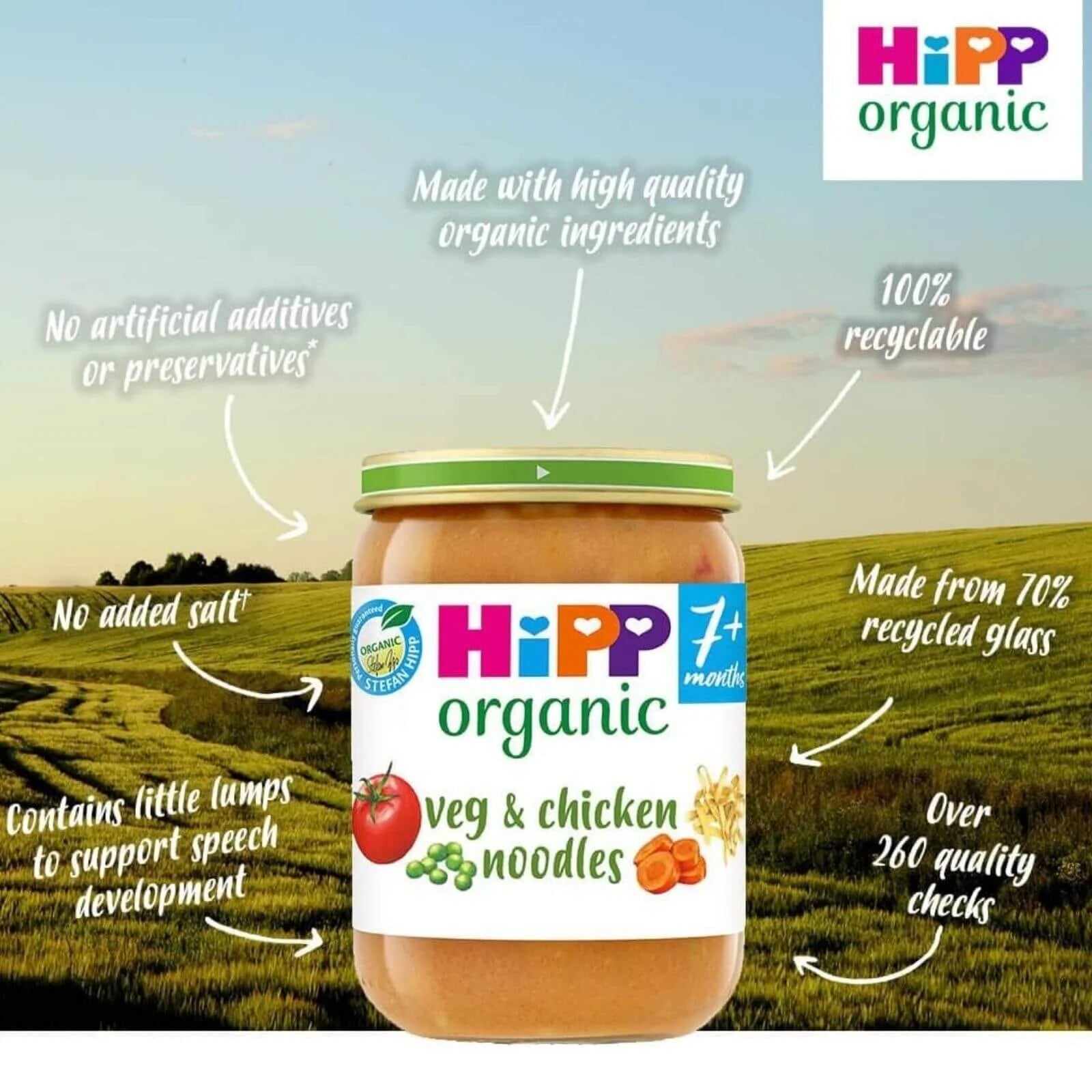 HiPP Organic Vegetables & Chicken Noodles Baby Food Jar 7+ months 190g - ebebek - Black Friday