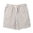 HelloBaby Boys Shorts Above the Knee - Antracite Printed Antracite Printed - ebebek