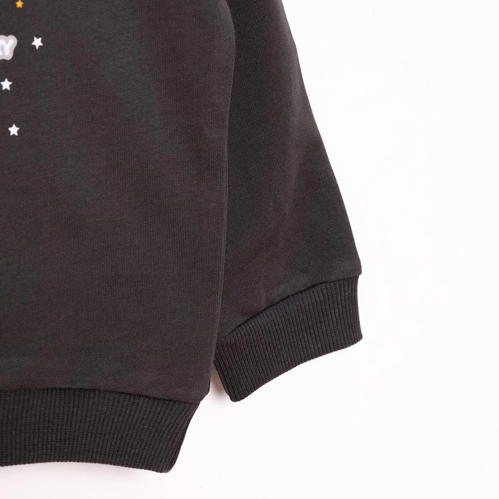 HelloBaby Basic Low Raised Lion Printed Sweatshirt - Dark Grey - ebebek - Black Friday