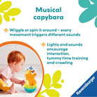 Play+ Push & Listen Roly Poly Capybara - ebebek - Black Friday
