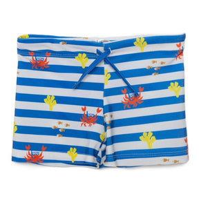 HelloBaby Boy Swim Shorts - Blue Blue - ebebek