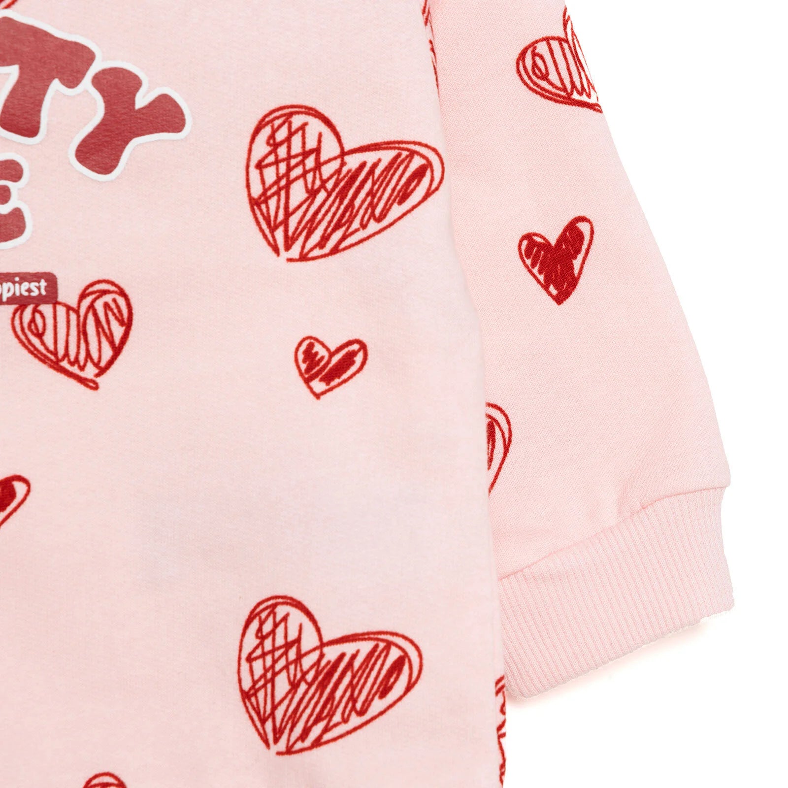 HelloBaby Basic Low Raised Sweatshirt - Printed - ebebek - Black Friday