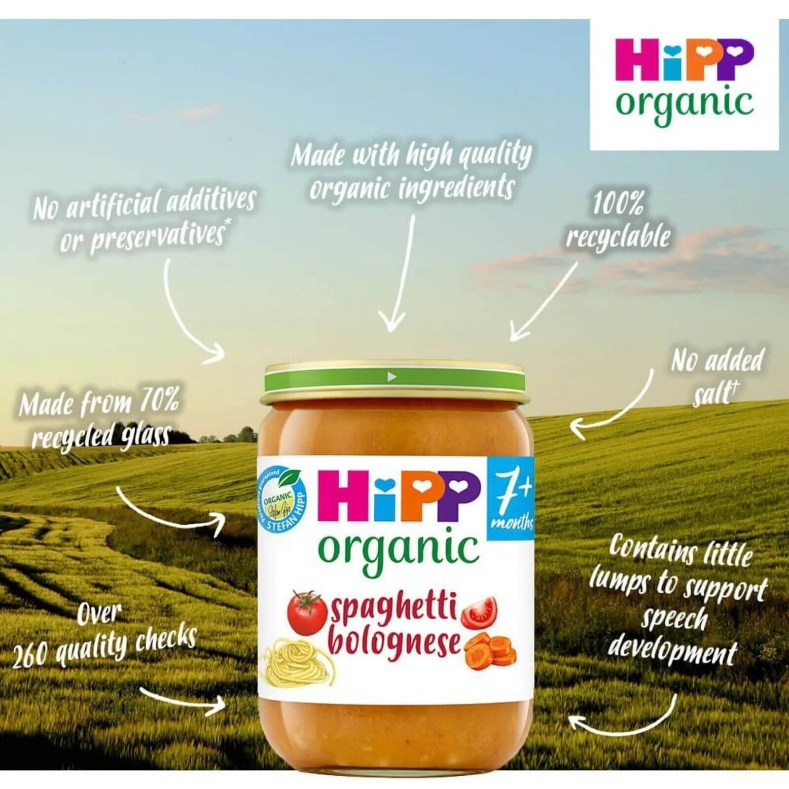 HiPP Organic Spaghetti Bolognese Baby Food Jar 7+ months 190g - ebebek - Black Friday