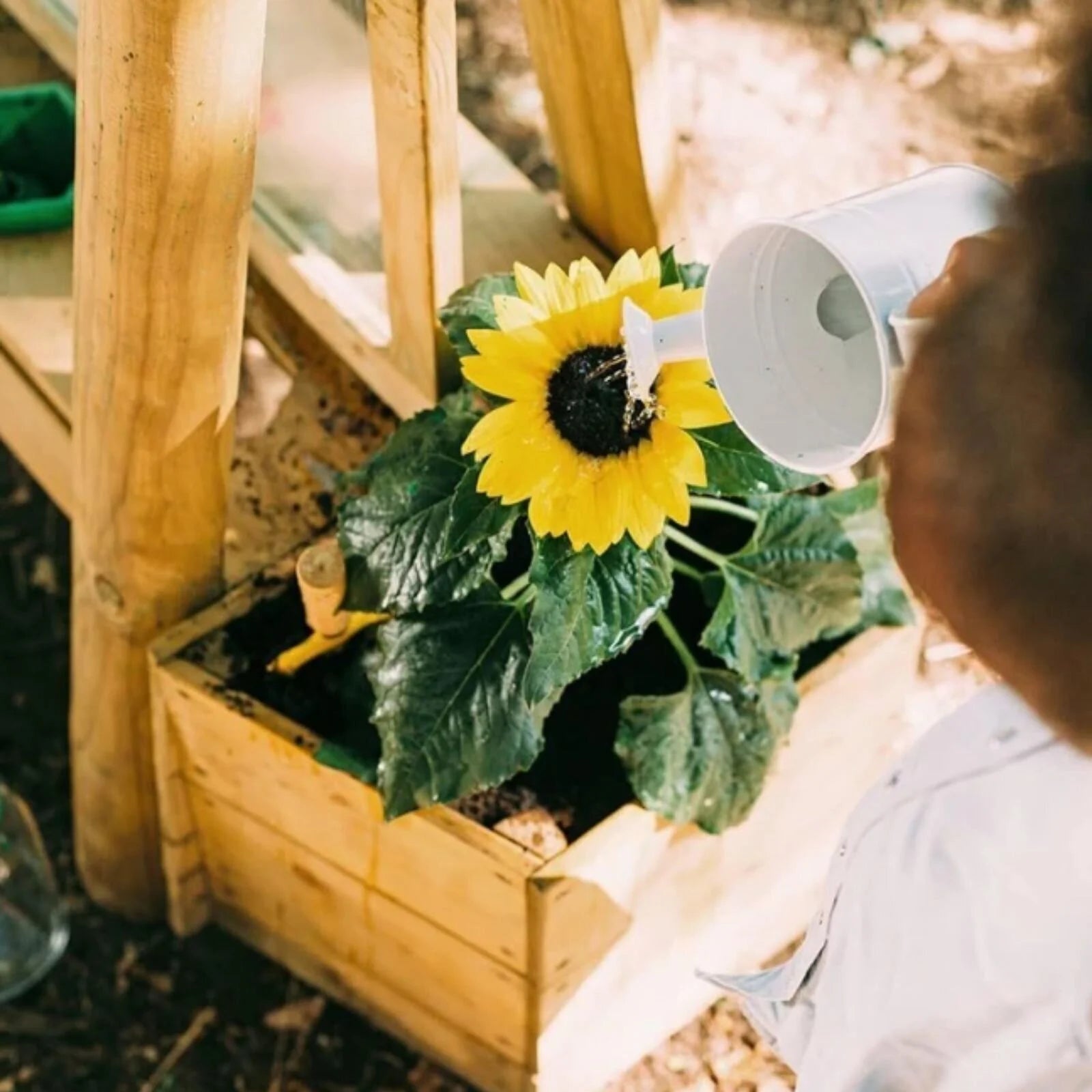 Plum Discovery Create & Paint Easel - ebebek - Black Friday