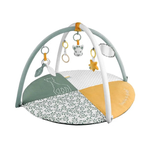 Playmats & Play Gyms