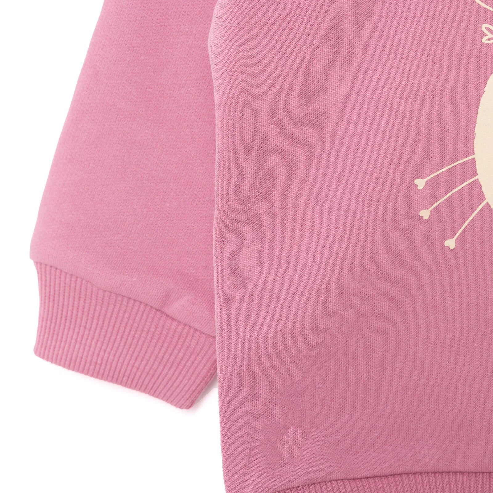 HelloBaby Basic Baby Girl Sweatshirt - Pink - ebebek - Black Friday