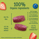 Organix Summer Fruits Rice Cake Clouds 7+ months 40g - ebebek - Black Friday